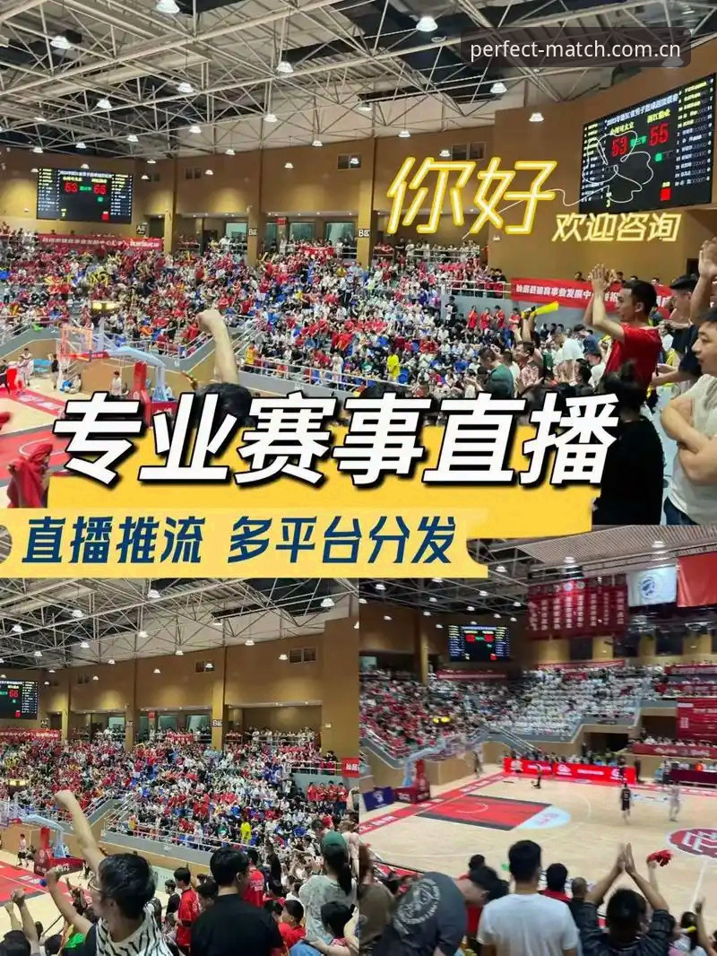 完美体育app使用技巧：高清赛事直播与回放必备知识